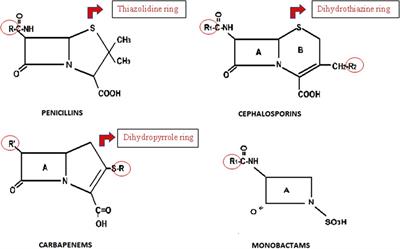 Approach for delabeling beta-lactam allergy in children